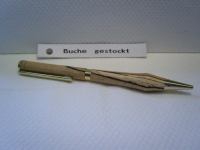 Buche gestockt