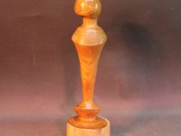 Goldregen-24x74-Mittel