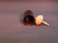 Cocobolo mit Kreiseldeckel aus Eibe, D=4,5cm, H=7-11,5cm