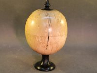 Kugeldose aus Maserbirke mit Grenadill und einer Spitze aus einer Thikanuss