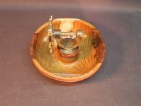 Goldregen-21x6-16-Mittel