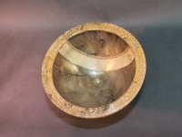 Mooreiche25-165x12-Mittel