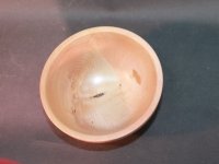 Rotdorn25-155x85-Mittel