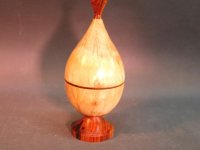 Birke-Coco-9x22-9-Mittel