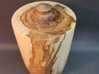 comp_Vogelbeere-205x28-34-5
