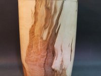 comp_Vogelbeere-205x28-34