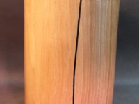 IMG_3870-Mittel